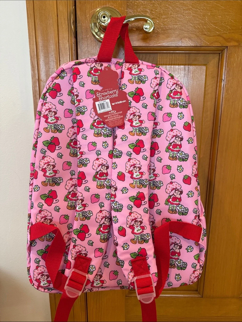 Pink Strawberry Shortcake Kids Backpack with Front Zip Pocket